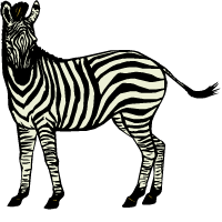 zebra