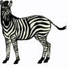 kuda zebra