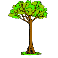 árbol