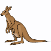 kanguro