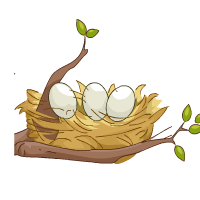 nest